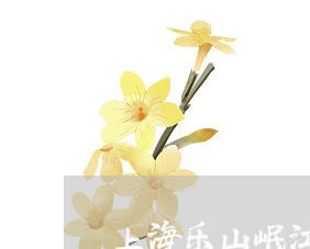上海乐山岷江交通事故/2023021383824