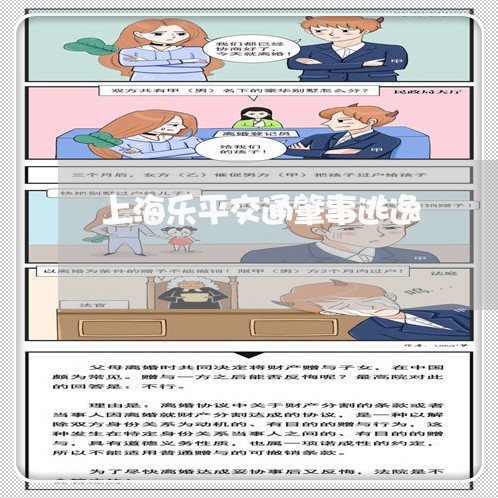 上海乐平交通肇事逃逸/2023021392704 上海乐平交通肇事逃逸/2023021392704