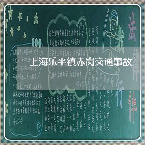 上海乐平镇赤岗交通事故/2023022872502 上海乐平镇赤岗交通事故/2023022872502