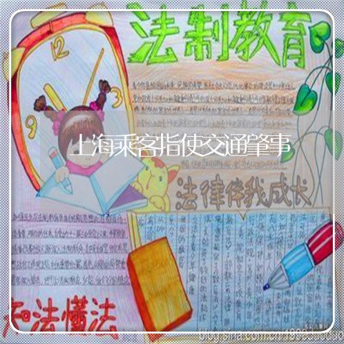 上海乘客指使交通肇事/2023021373717