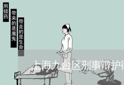 上海九台区刑事辩护律师/2023042231703