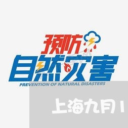 上海九月12号涞水交通事故/2023040168173 上海九月12号涞水交通事故/2023040168173