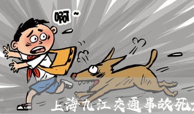 上海九江交通事故死亡/2023021371584 上海九江交通事故死亡/2023021371584