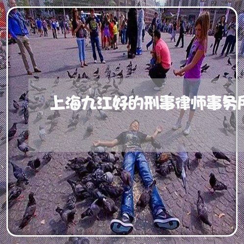 上海九江好的刑事律师事务所/2023040185749 上海九江好的刑事律师事务所/2023040185749