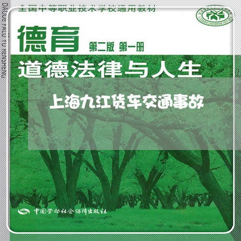 上海九江货车交通事故/2023021326150 上海九江货车交通事故/2023021326150