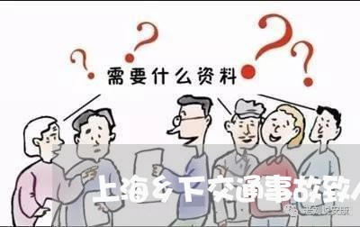 上海乡下交通事故致人受伤/2023032081794 上海乡下交通事故致人受伤/2023032081794