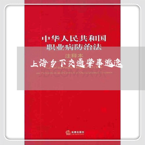 上海乡下交通肇事逃逸/2023021360504 上海乡下交通肇事逃逸/2023021360504