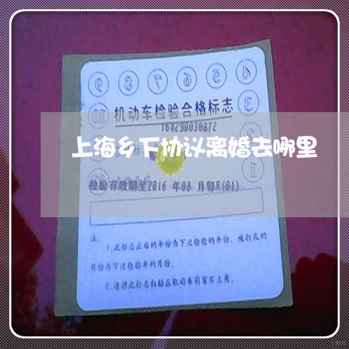 上海乡下协议离婚去哪里/2023030148471