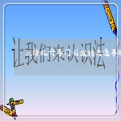上海乱开车门引发的交通事故/2023040182504 上海乱开车门引发的交通事故/2023040182504