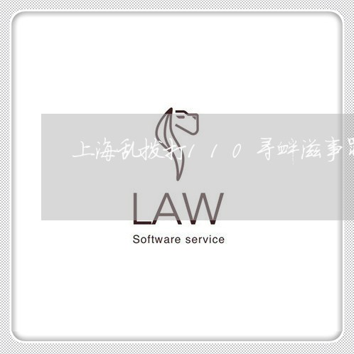 上海乱拨打110寻衅滋事罪/2023040138470 上海乱拨打110寻衅滋事罪/2023040138470