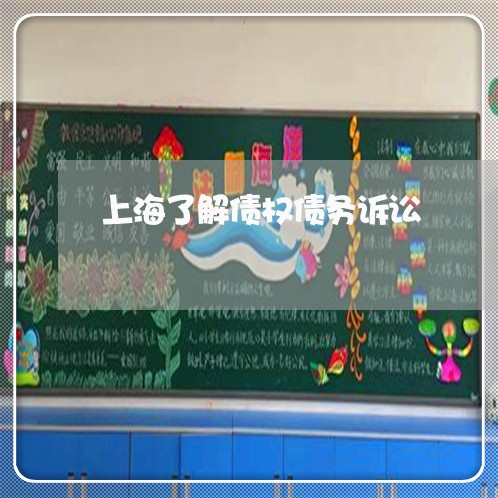 上海了解债权债务诉讼/2023021317059 上海了解债权债务诉讼/2023021317059