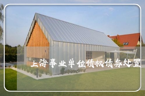 上海事业单位债权债务处置/2023032005838 上海事业单位债权债务处置/2023032005838