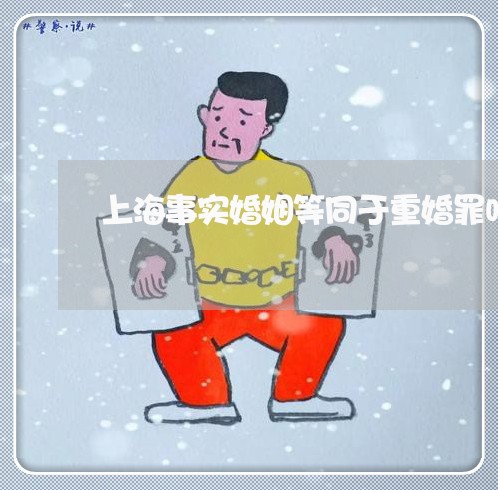 上海事实婚姻等同于重婚罪吗/2023041347069