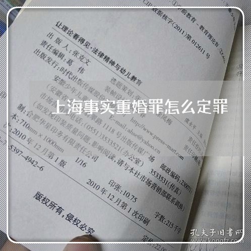 上海事实重婚罪怎么定罪/2023042301725