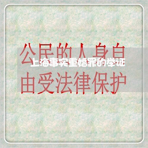 上海事实重婚罪的举证/2023021349361 上海事实重婚罪的举证/2023021349361