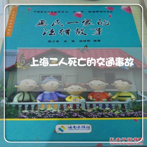 上海二人死亡的交通事故/2023030159684