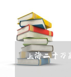 上海二十万离婚带孩子/2023021306925 上海二十万离婚带孩子/2023021306925