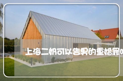 上海二奶可以告男的重婚罪吗/2023040153704 上海二奶可以告男的重婚罪吗/2023040153704
