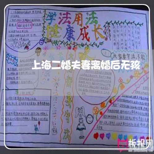 上海二婚夫妻离婚后无孩/2023030104159 上海二婚夫妻离婚后无孩/2023030104159
