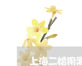 上海二婚用离婚证卖房/2023021383726 上海二婚用离婚证卖房/2023021383726