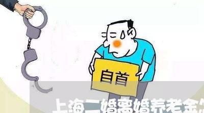 上海二婚离婚养老金怎么分割/2023040140593