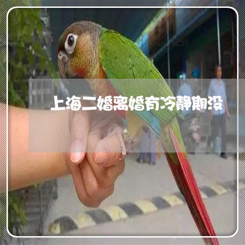 上海二婚离婚有冷静期没/2023030107490 上海二婚离婚有冷静期没/2023030107490