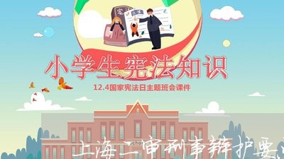 上海二审刑事辩护要点/2023021302804 上海二审刑事辩护要点/2023021302804
