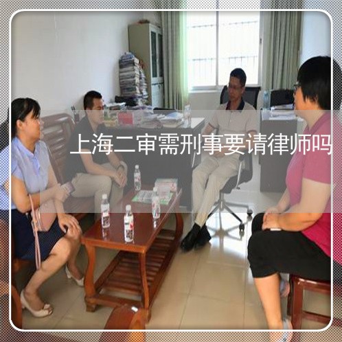 上海二审需刑事要请律师吗/2023040108058