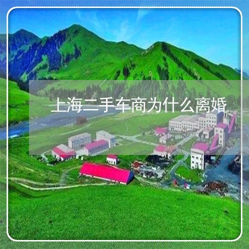 上海二手车商为什么离婚/2023030117392 上海二手车商为什么离婚/2023030117392