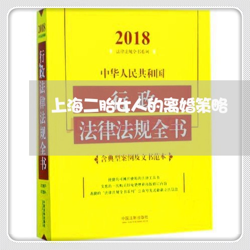 上海二胎女人的离婚策略/2023042279593