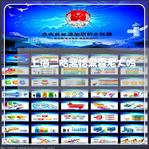 上海二胎离婚需要老大吗/2023030129603 上海二胎离婚需要老大吗/2023030129603
