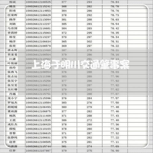上海于明川交通肇事案/2023021394036