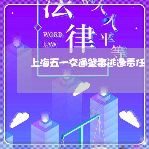上海五一交通肇事逃逸责任/2023031904857