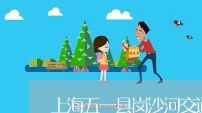 上海五一县岗沙河交通事故/2023031937350 上海五一县岗沙河交通事故/2023031937350
