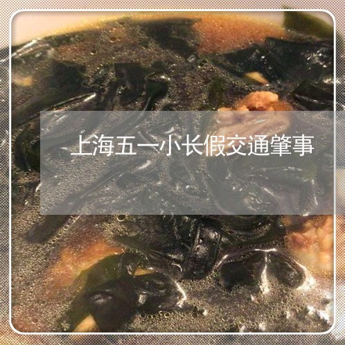 上海五一小长假交通肇事/2023030158363 上海五一小长假交通肇事/2023030158363