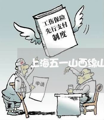 上海五一山西绵山交通肇事/2023031994806 上海五一山西绵山交通肇事/2023031994806