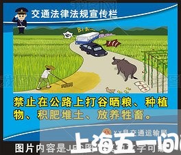 上海五一间的交通事故/2023021339259 上海五一间的交通事故/2023021339259