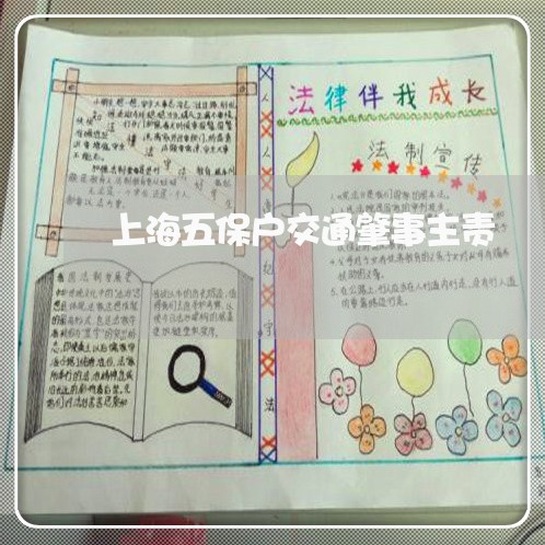 上海五保户交通肇事主责/2023030187159