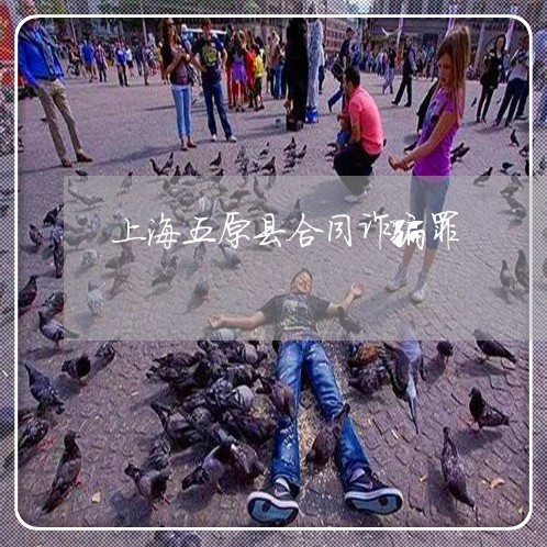 上海五原县合同诈骗罪/2023021359474 上海五原县合同诈骗罪/2023021359474