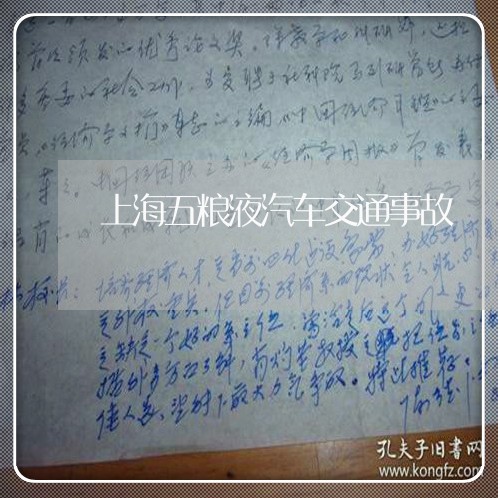 上海五粮液汽车交通事故/2023022860583 上海五粮液汽车交通事故/2023022860583