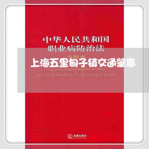 上海五里甸子镇交通肇事/2023030166263