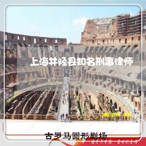 上海井陉县知名刑事律师/2023030114040 上海井陉县知名刑事律师/2023030114040