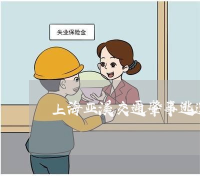 上海亚溪交通肇事逃逸案/2023030192705