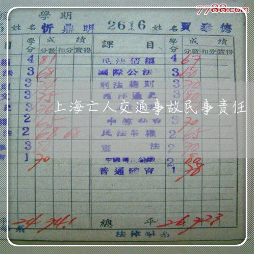 上海亡人交通事故民事责任/2023031920596