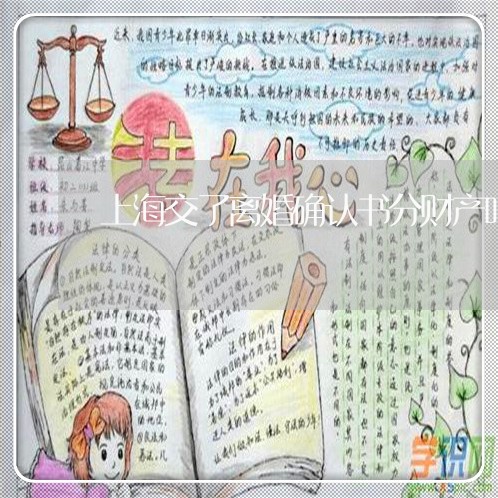 上海交了离婚确认书分财产吗/2023040136038