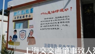上海交交通肇事致人死亡/2023030127167
