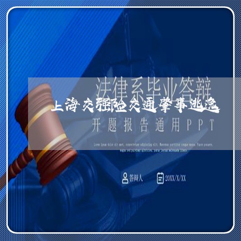 上海交强险交通肇事逃逸/2023030171594 上海交强险交通肇事逃逸/2023030171594