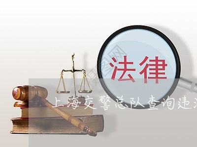 上海交警总队查询违法记录