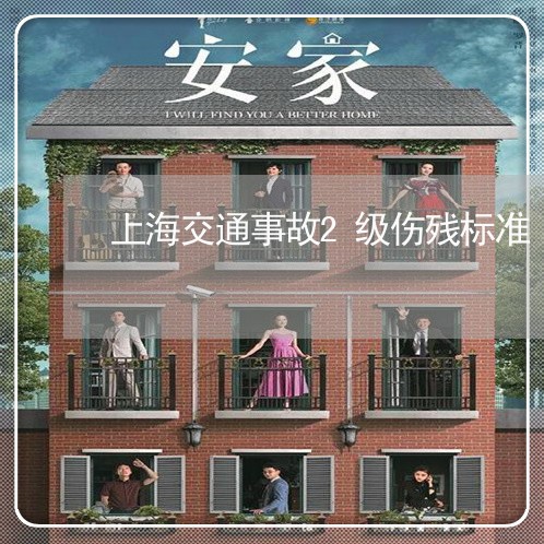 上海交通事故2级伤残标准/2023040182058