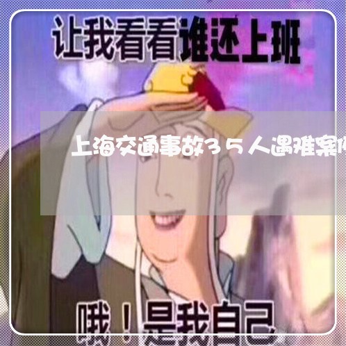 上海交通事故35人遇难案例/2023040175706 上海交通事故35人遇难案例/2023040175706